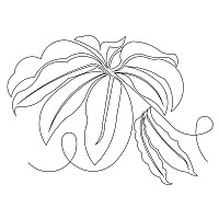 jungle leaf border 003